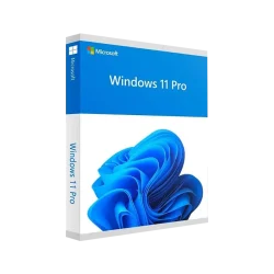 MICROSOFT WINDOWS 11 PROFESSIONAL
